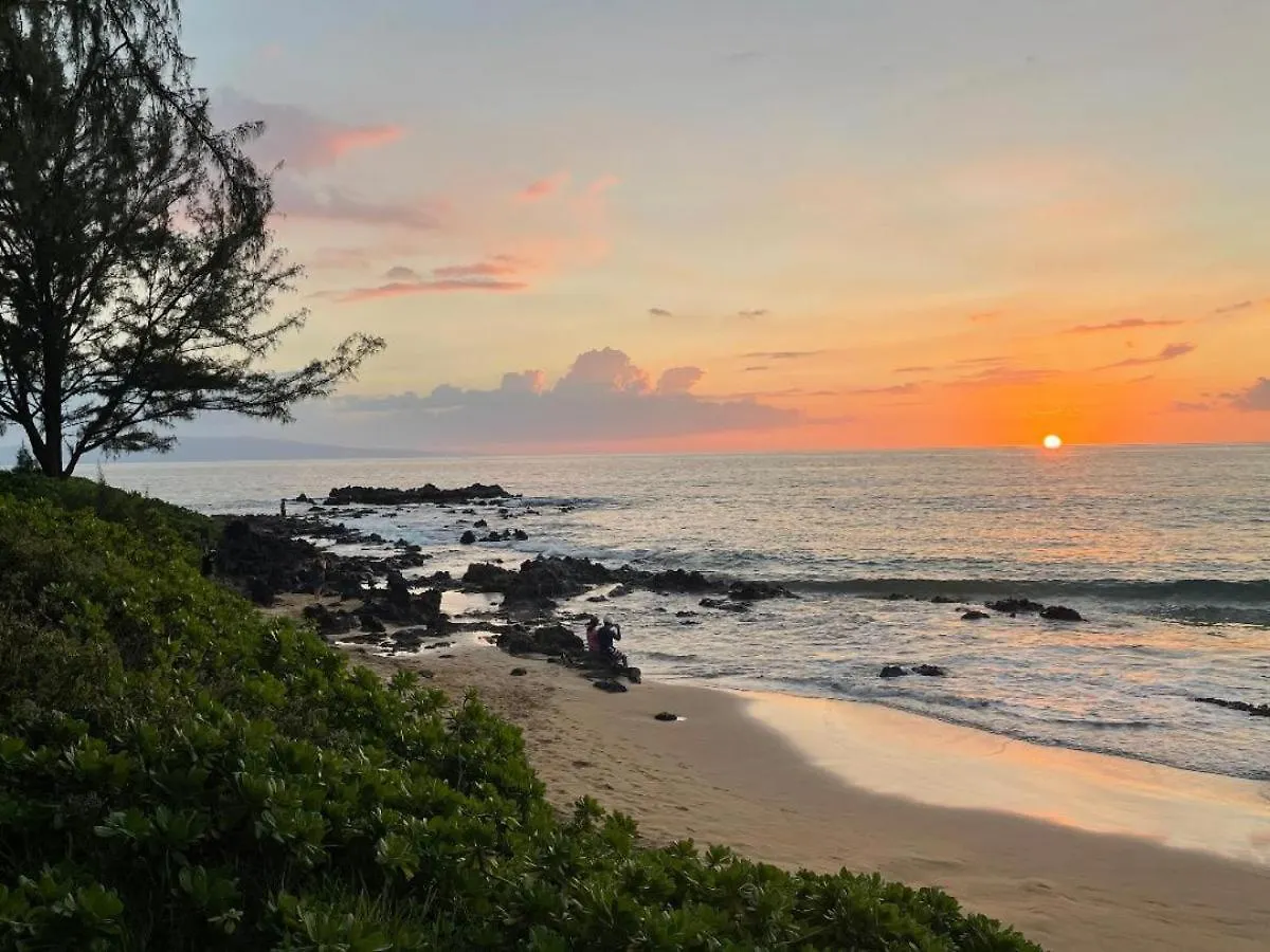 Casa vacanze Villa Hale Kamaole 330 Wailea