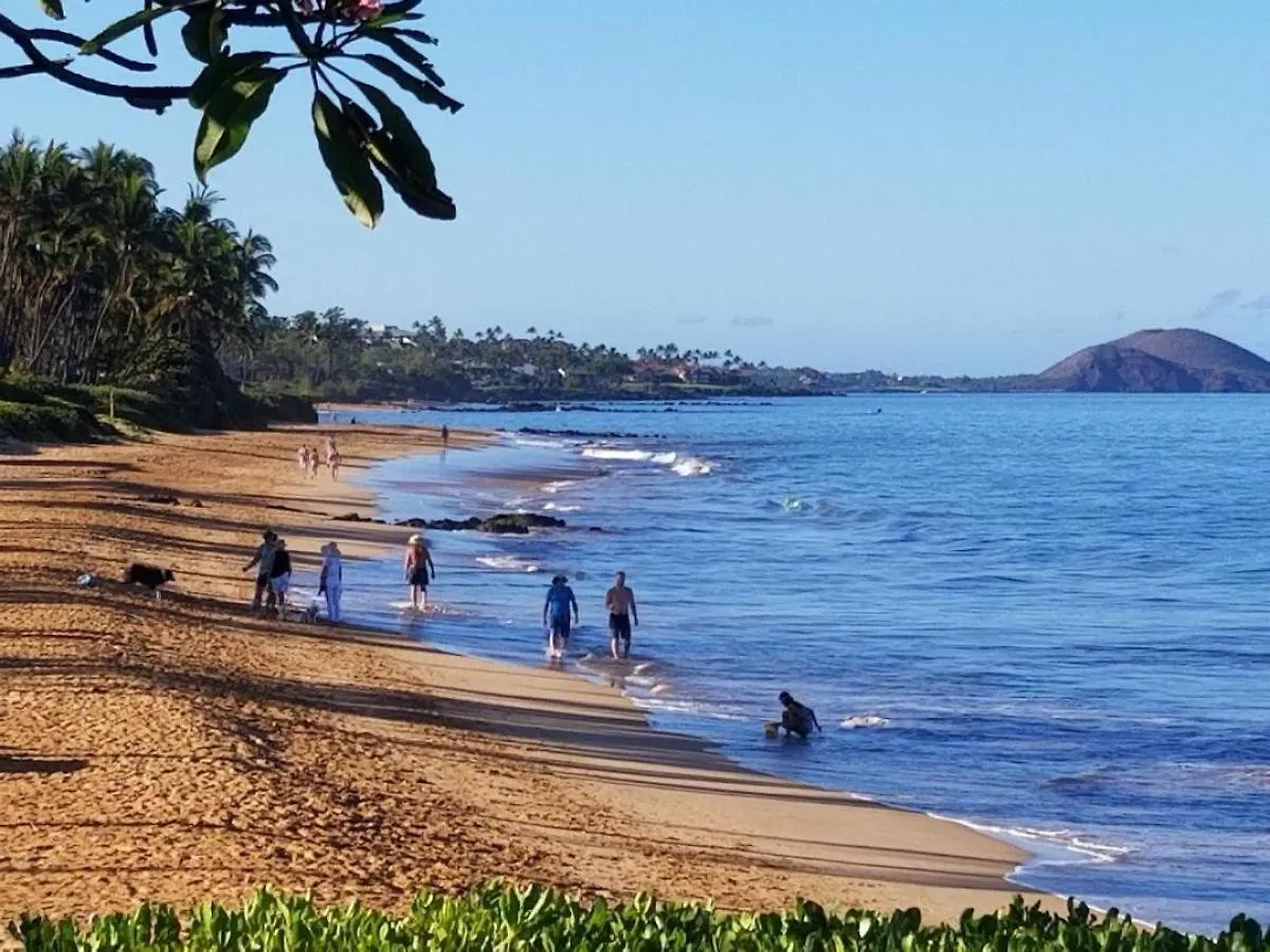 Villa Hale Kamaole 330 Wailea  Stati Uniti